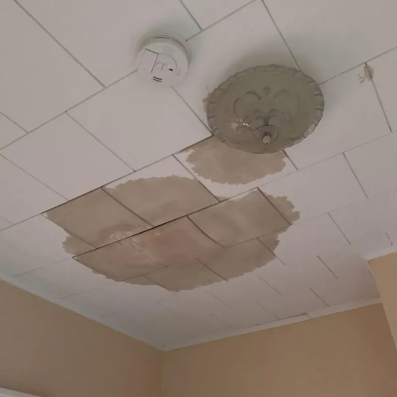 Ceiling Water Damage Repair in Wathena, KS
