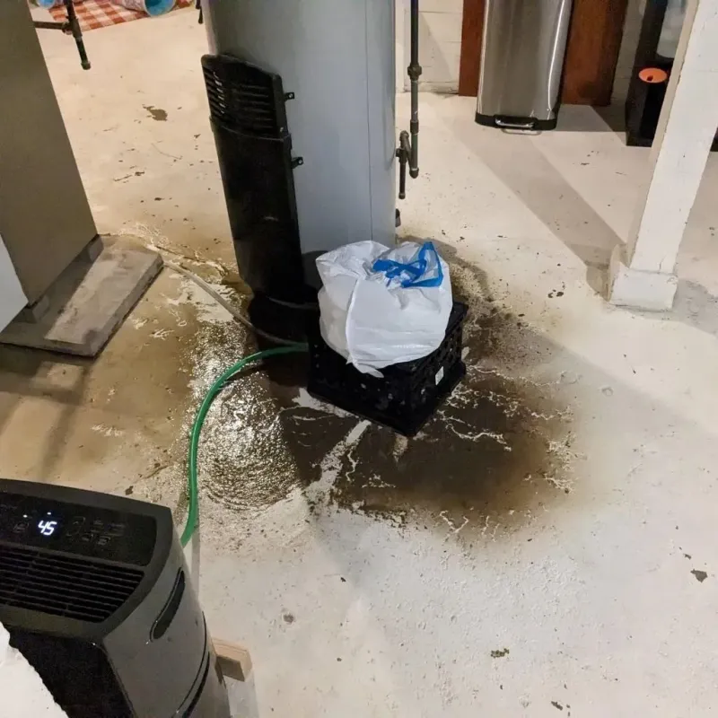 Sewage Backup Cleanup Service in Wathena, KS